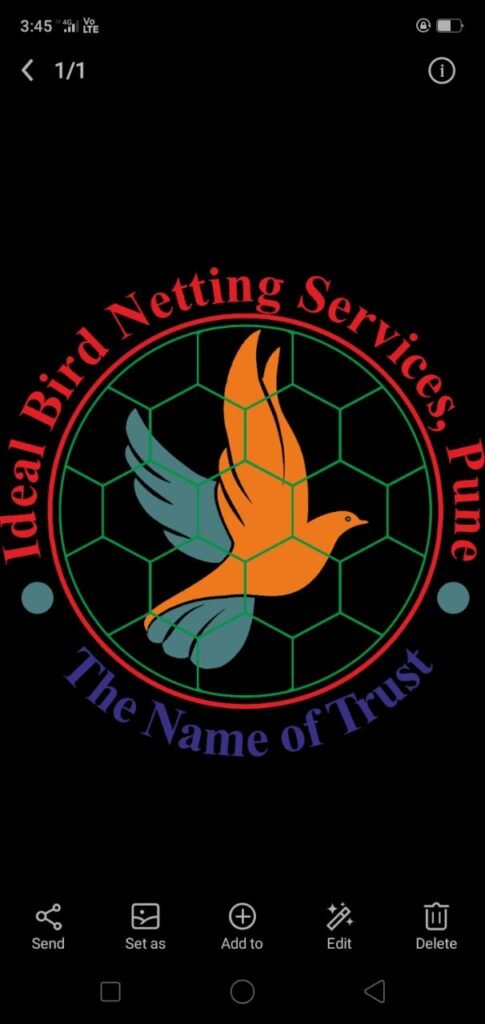 Invisible Grills Installation in Pune by Ideal Bird Netting Services